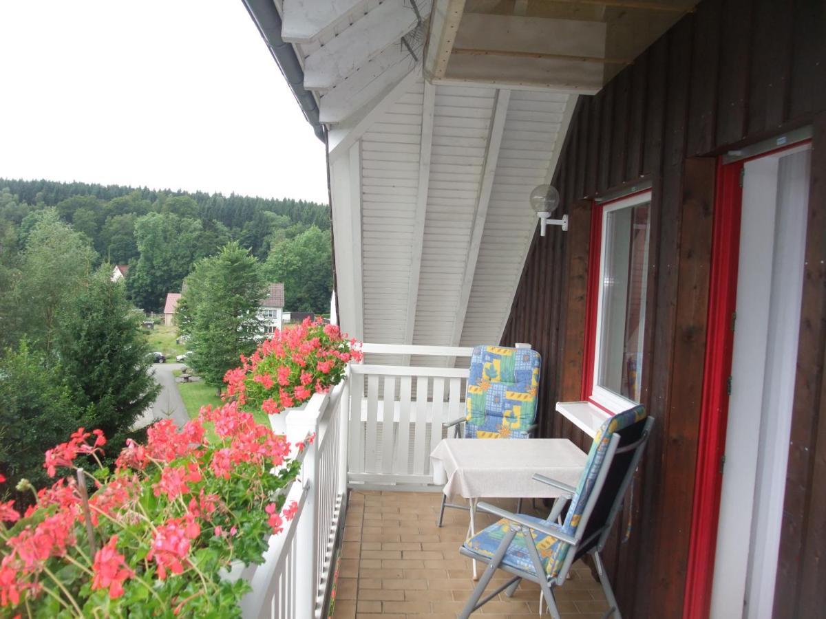 Ferienhaus Hubertus In Elend Mit Balkons Exterior photo